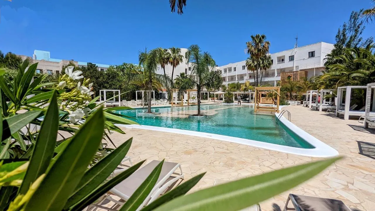 Апартаменты The Palm Star Ibiza - Adults Only Сан-Антонио-Абад 0*,  Испания
